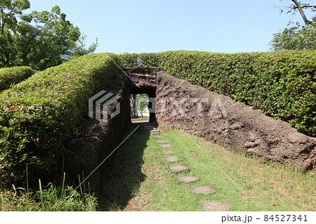 大森貝塚遺跡庭園 84527341