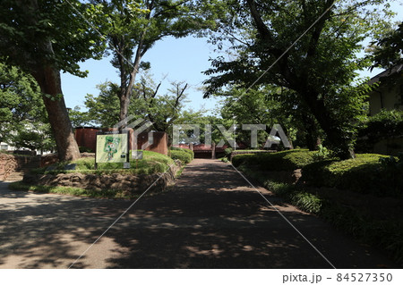 大森貝塚遺跡庭園 大森貝塚遺跡庭園 84527350