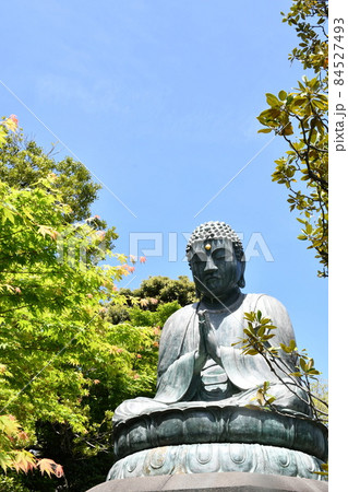 晴天さま T*k様 シャドウバースエボルブ 晴天の銀騎士 エミリア SP おまけ