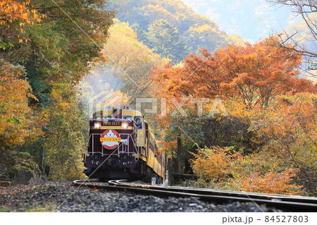 山間部の紅葉の中を行く「トロッコわたらせ渓谷号」 山間部の紅葉の中を行く「トロッコわたらせ渓谷号」 84527803