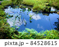 池の水鏡 84528615