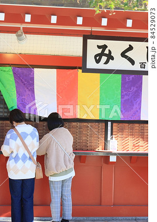 おみくじ おみくじ 84529073