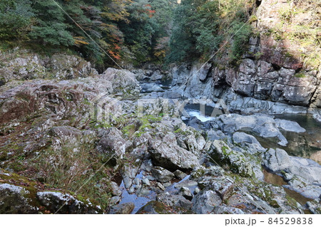 日本の川の紅葉風景：山口県山口市の長門峡と阿武川 84529838