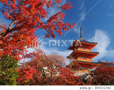 清水寺の紅葉　三重塔 84531392