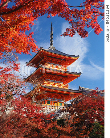 清水寺の紅葉 三重塔 清水寺の紅葉 三重塔 84531394