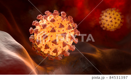 Coronavirus in a human lungs 84531397