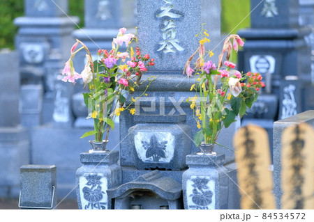 お墓の仏花 84534572