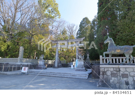 鳥居(針名神社 愛知県 名古屋市) 鳥居(針名神社 愛知県 名古屋市) 84534651