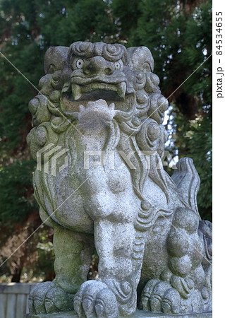 凛々しい狛犬(針名神社 愛知県 名古屋市) 凛々しい狛犬(針名神社 愛知県 名古屋市) 84534655