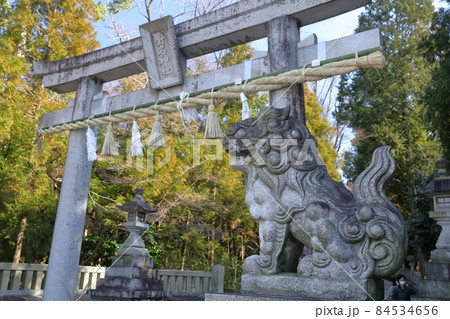 凛々しい狛犬（針名神社　愛知県 名古屋市） 84534656