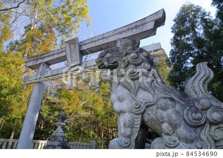 凛々しい狛犬(針名神社 愛知県 名古屋市) 凛々しい狛犬(針名神社 愛知県 名古屋市) 84534690