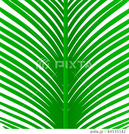 Green topical palm leaf vector pattern background 84535182