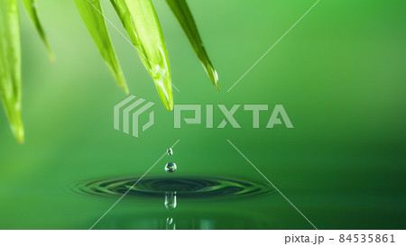 Spa and wellness background with water and leaves 84535861