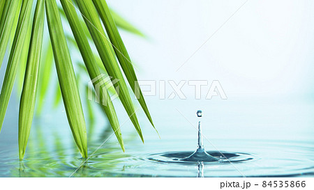 Spa and wellness background with water and leaves Spa and wellness background with water and leaves 84535866