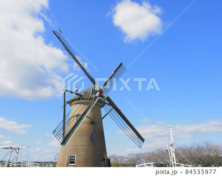千葉県佐倉ふるさと広場　風車とコスモス 84535977