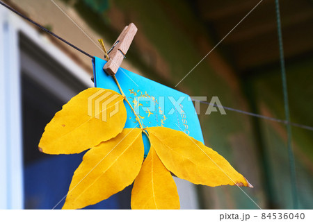 A passport in a blue cover hangs from a clothesline, attached with a wooden clothespin along with a branch with yellow leaves. Autumn travel concept. 84536040