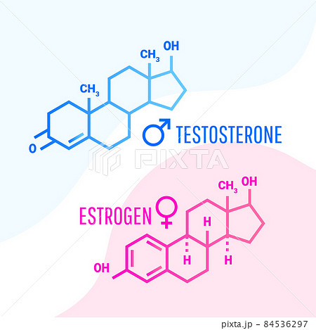 Estrogen and testosterone hormones molecular formula with liquid fluid shapes on white background. Vector illustration 84536297