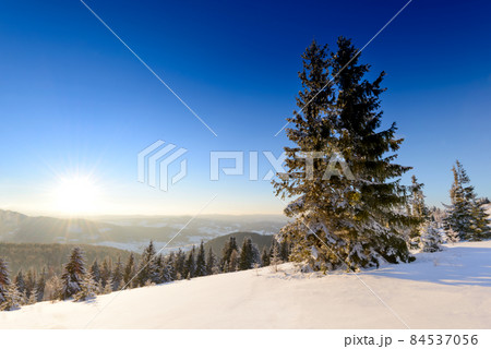 Fantastic winter landscape. Blue sky. Carpathian, Ukraine, Europe. Beauty world 84537056