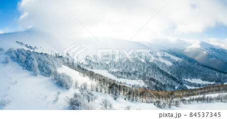 Winter landscape in fog with snow and branches covered with hoarfrost and frozen snow. High quality photo 84537345