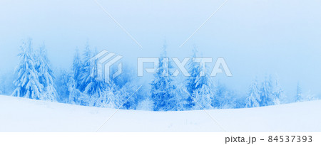 Winter trees in mountains covered with fresh snow 84537393