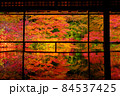 瑠璃光院の紅葉2021 84537425