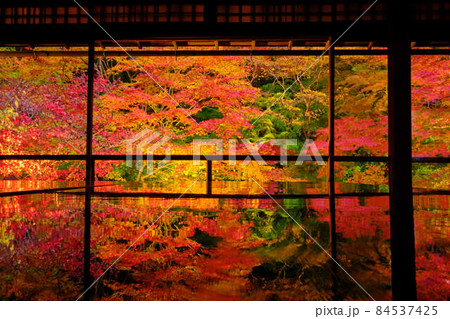 瑠璃光院の紅葉2021 84537425