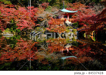 醍醐寺弁天堂の紅葉2021 84537428