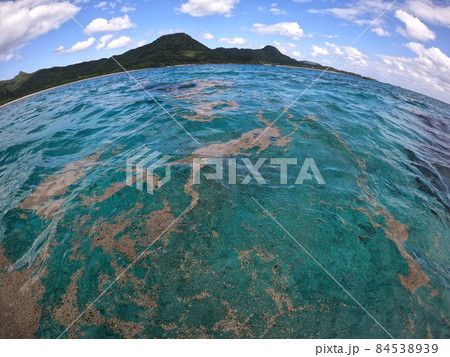 軽石が漂っている様子 軽石が漂っている様子 84538939