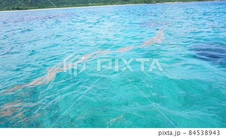 石垣島の海に広がる軽石 石垣島の海に広がる軽石 84538943