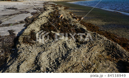 港に漂着した軽石 港に漂着した軽石 84538949