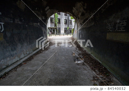 【大久野島】トンネルの中で遊ぶウサギさん 84540032