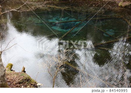 神の子池_清里町 神の子池_清里町 84540995