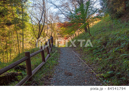 小平の里 鍾乳洞公園付近 紅葉の季節 秋の風景 小平の里 鍾乳洞公園付近 紅葉の季節 秋の風景 84541794