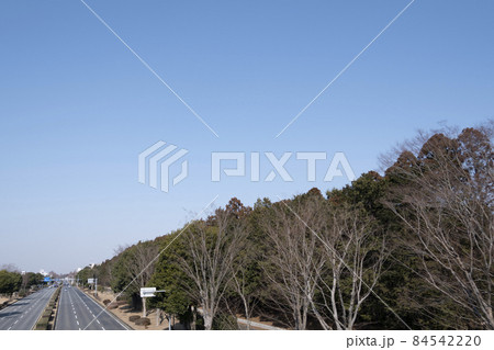 つくば市学園西大通りから筑波大学春日エリアを望む【2021年2月撮影】 84542220