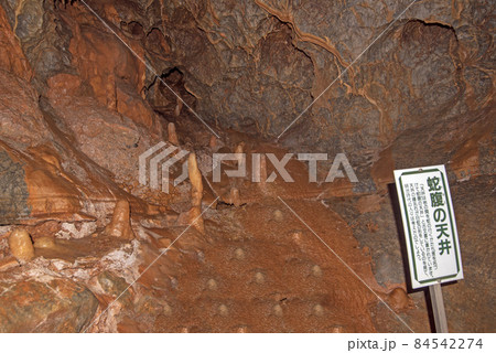 小平の里　鍾乳洞　内部 84542274