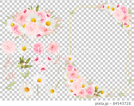 Antique gold frameset vector illustration with elegant pink roses and daisies 84543728