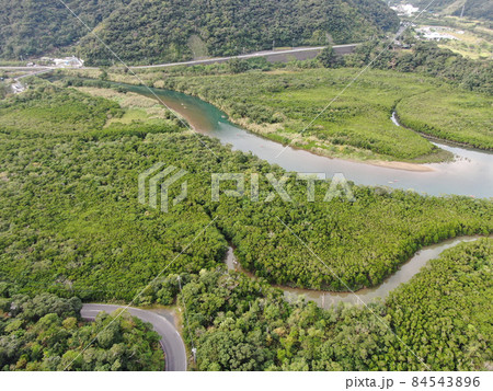 奄美市住用町のマングローブ原生林の空撮 84543896