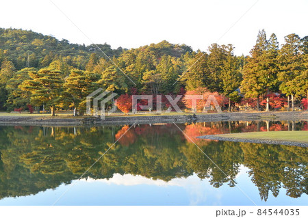 毛利氏庭園の水辺 84544035