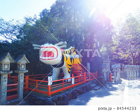 信貴山の虎 84544233