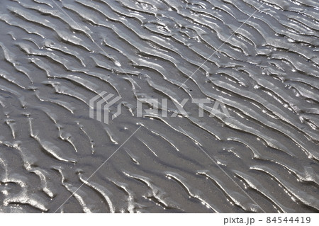 東京都江戸川区の葛西臨海公園の浜辺の波紋 84544419