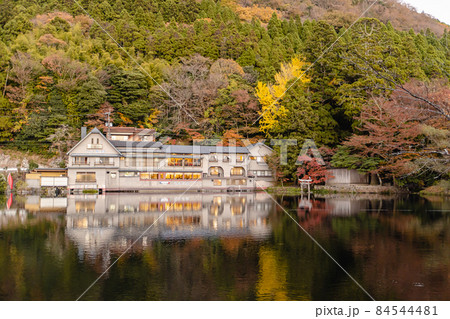 湯布院 金鱗湖 秋 紅葉 湯布院 金鱗湖 秋 紅葉 84544481