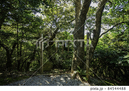 粟嶋神社　出雲大社遥拝所　鳥取県米子市 84544488