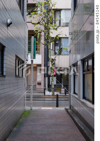 東京、赤坂6丁目の街の風景　赤坂6丁目、港区、東京、日本 84545140