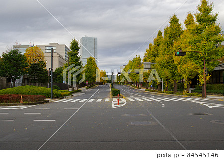 紅葉が進みカラフルな道　永田町バイパスから望む永田町の風景　永田町、千代田区、東京、日本 84545146