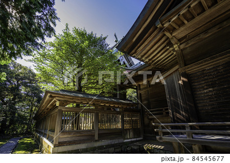 粟嶋神社　本殿　鳥取県米子市 84545677
