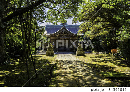 粟嶋神社 拝殿 鳥取県米子市 粟嶋神社 拝殿 鳥取県米子市 84545815