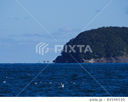 蜃気楼(浮島現象)で水平線から浮かんで見える岩礁や船と、手前のカモメ【三重県 尾鷲湾】 蜃気楼(浮島現象)で水平線から浮かんで見える岩礁や船と、手前のカモメ【三重県 尾鷲湾】 84546530