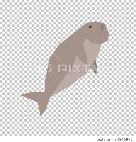 Illustration of dugong 84546975