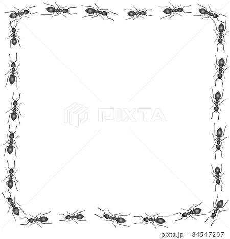 Trail of ants. A square frame of insects. Vector 84547207