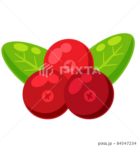 Red currant with green leaves. Cranberry berry. Healthy food and sweet dessert ingredient. Flat cartoon illustration 84547234